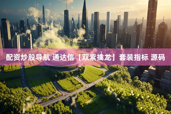 配资炒股导航 通达信【双紫擒龙】套装指标 源码