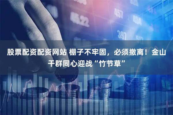 股票配资配资网站 棚子不牢固，必须撤离！金山干群同心迎战“竹节草”