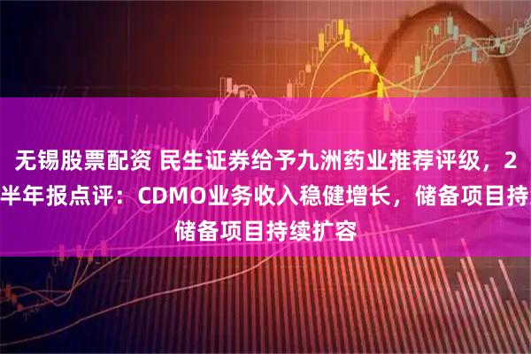 无锡股票配资 民生证券给予九洲药业推荐评级，2025年半年报点评：CDMO业务收入稳健增长，储备项目持续扩容
