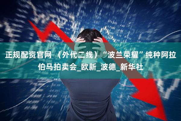 正规配资官网 （外代二线）“波兰荣耀”纯种阿拉伯马拍卖会_欧新_波德_新华社