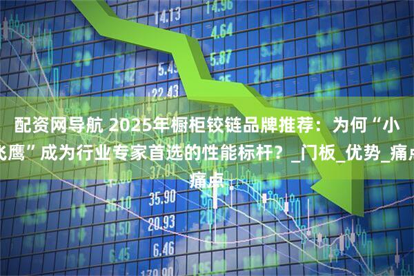配资网导航 2025年橱柜铰链品牌推荐：为何“小飞鹰”成为行业专家首选的性能标杆？_门板_优势_痛点